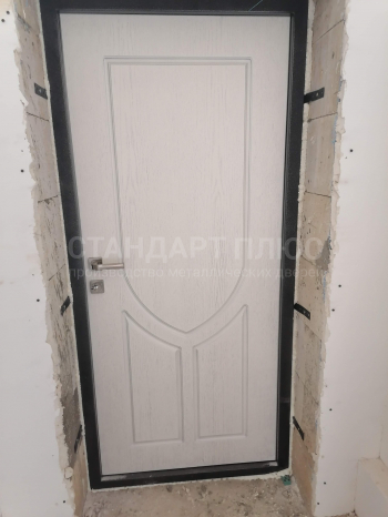 Фото двери №8